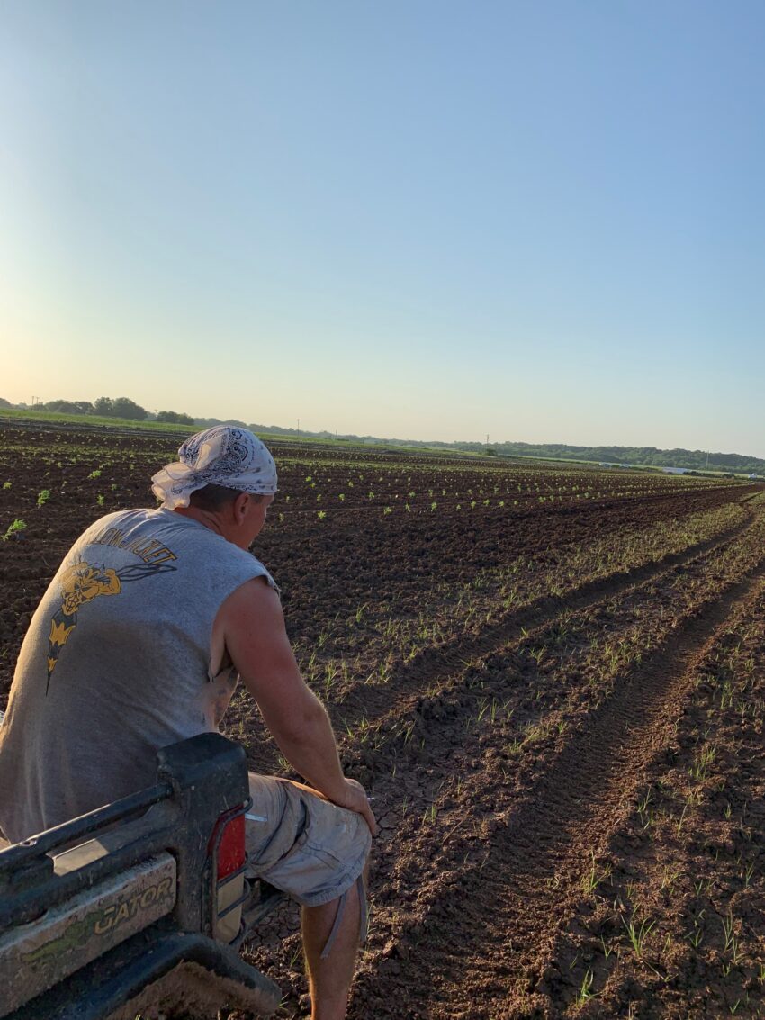 A man sitting on top of a tractor in the middle of an empty field.